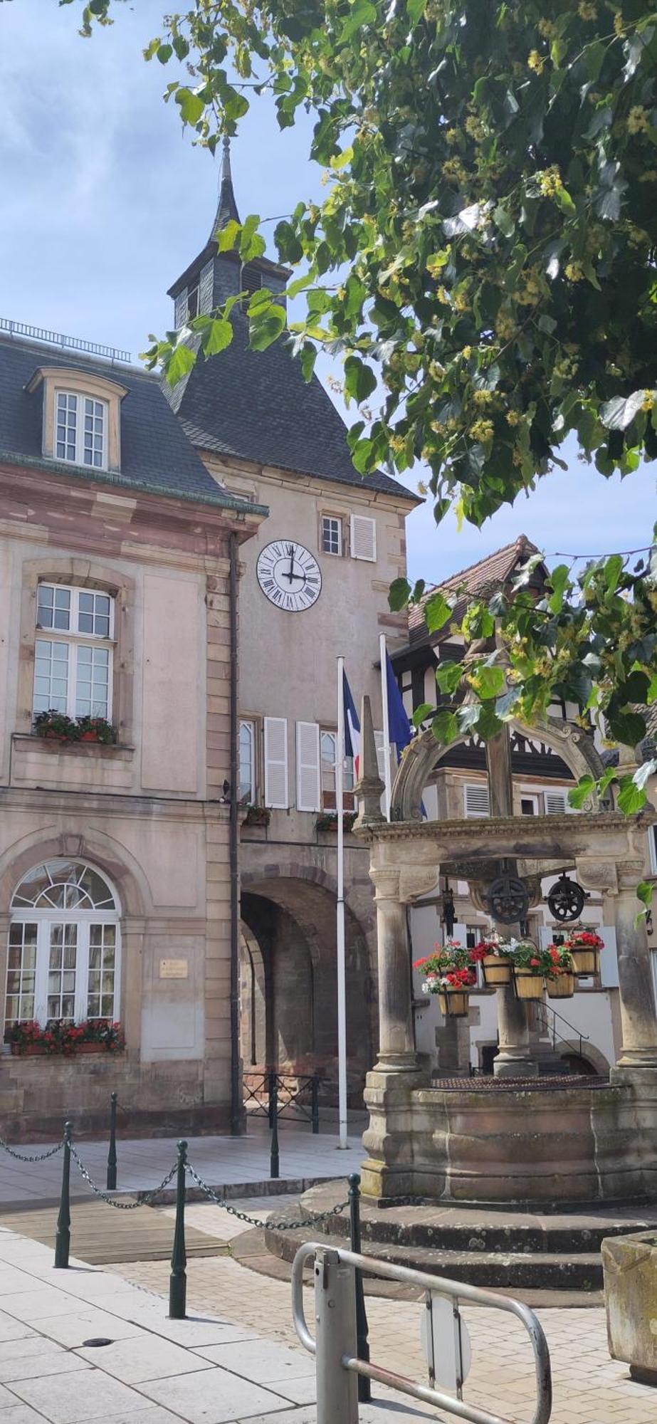 La Maisonnette Bleue, Eco-Logis Equipe De Toilettes Seches Rosheim المظهر الخارجي الصورة
