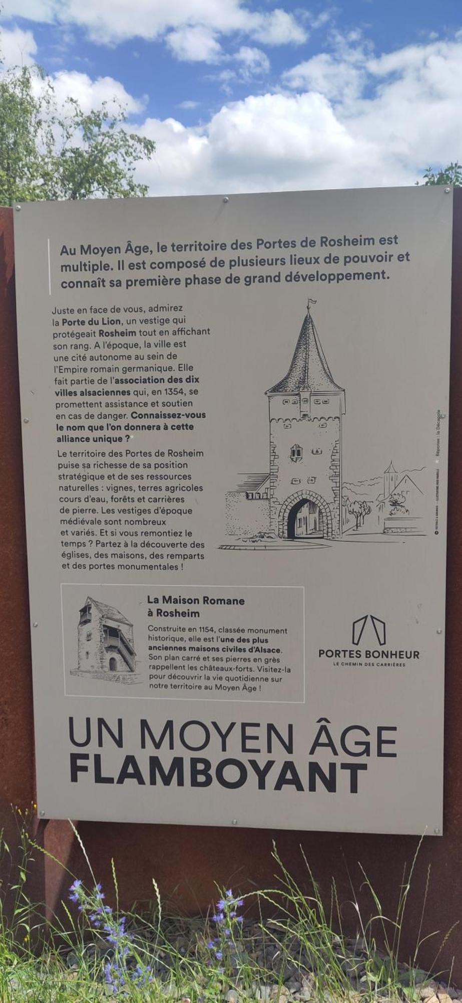 La Maisonnette Bleue, Eco-Logis Equipe De Toilettes Seches Rosheim المظهر الخارجي الصورة